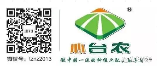 臺州農(nóng)資攜手意大利啟騰與浙柑所達成戰(zhàn)略合作，開啟柑橘可持續(xù)栽培研究新篇章！