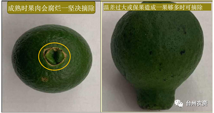 臺(tái)州農(nóng)資 臺(tái)州農(nóng)資