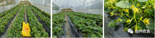 1675647099118277.png 640 (16).png